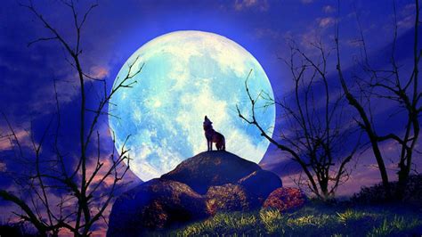 Wolf Nature Full Moon Yelp Wallpapers Hd Desktop And