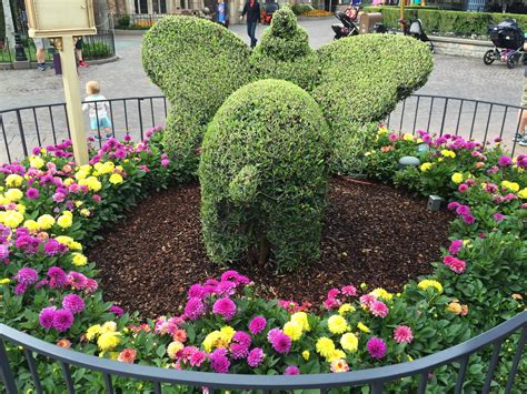 Seth Kuberskys Best Week Ever June 11 2015 Disneyland Flora And Fauna