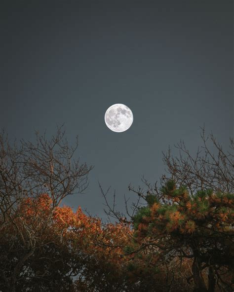 Moon Phone Wallpaper 3070x3837 008