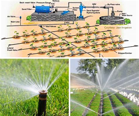 Innovations In Micro Irrigation Systems