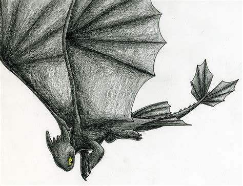 Toothless Flying Drawing At Explore Collection Of