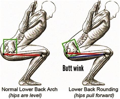 Getting The Max Out Of Your Gluteus Maximus Alta Physical Therapy And Pilates
