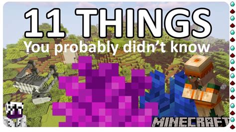 11 Things You Probably Didnt Know About Minecraft Youtube