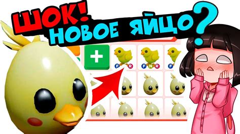 Check the website for clues and a special egg passport, which will be uploaded on march 19. Шок! Новое яйцо на пасху в Роблокс Адопт Ми? Обновление и ...