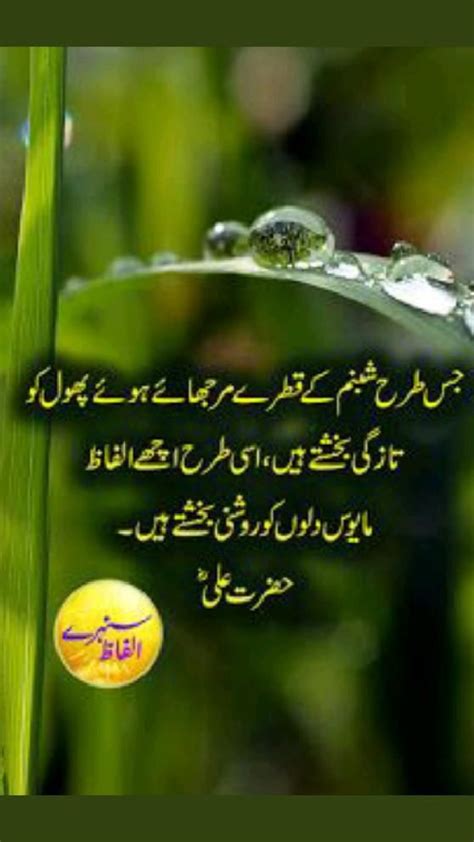 Insan Kis Waqt Haarta Hain L Hazrat Ali Quotes In Urdu L Best Urdu