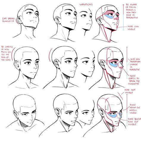 Face Drawing Reference Drawing Reference Poses Art Reference Photos