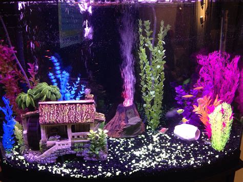 Check spelling or type a new query. My new glo fish aquarium | Fish tank decorations, Fish ...
