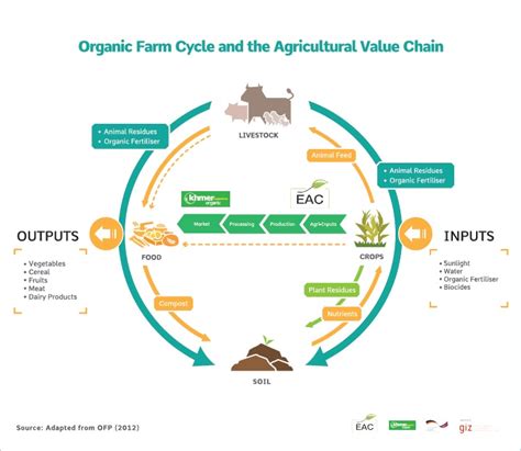 Organic Farm Cycle And The Agriculture Value Chain Sector Network