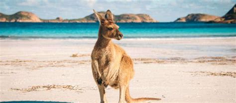 3rd may, mondaymay day (nt). Australia Day Public Holiday 2021