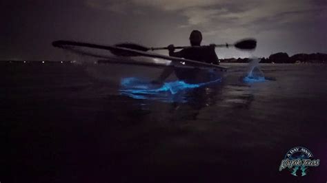 Clear Kayak Bioluminescence Kayak Tour A Day Away Kayak Tours Youtube