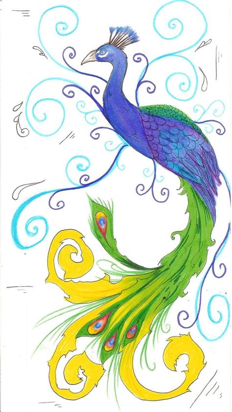 Peacock Drawing Pictures | Drawing Pictures