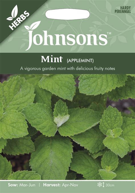 Mint Applemint Johnsons Seeds