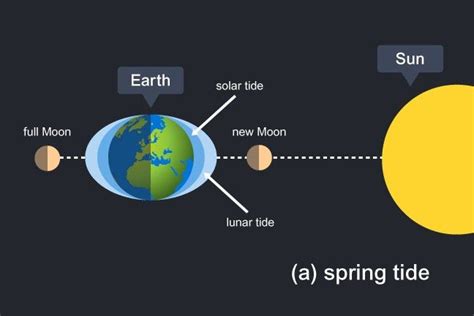 Spring Tide Click To Expand © The Open University The Sun Also Has