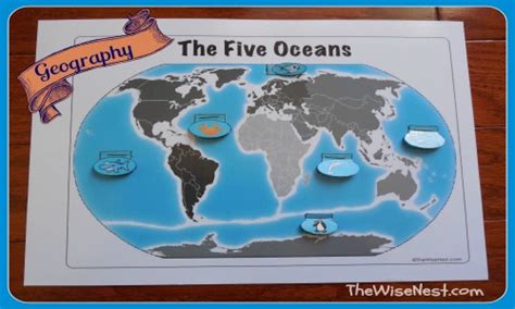 The Five Oceans The Wise Nest