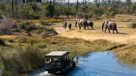 Which African Country Is Best For Safaris In 2022