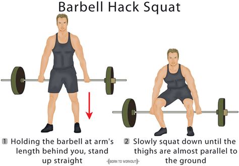 Barbell Hack Squat How To Do Benefits Proper Form Video Pictures
