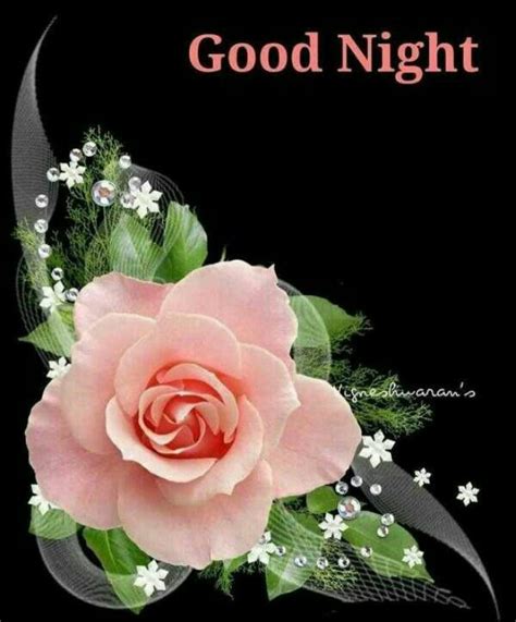 Pin By Shahida Parveen On Good Night Good Night Sweet Dreams Good