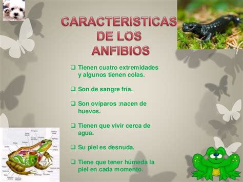 Dibujos.net dibujos animales la granja. Los animales