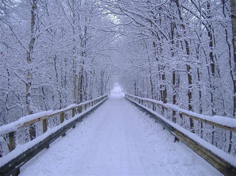 Download Snow Bridge Winter Scenery Wallpaper