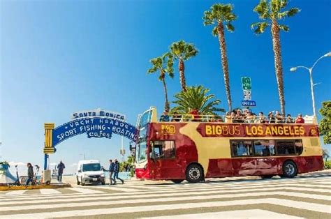 Which Los Angeles And Hollywood Bus Tour Should You Take