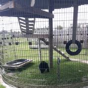 Zoo Admission - Jo-Don Farms | Groupon