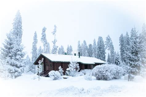 Beautiful Winter Forest And Snow Covered House Stock Photo Image Of