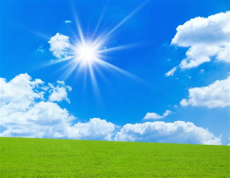 Sunny Day Background Images