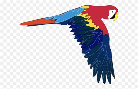 Parrot Find And Download Best Transparent Png Clipart Images At