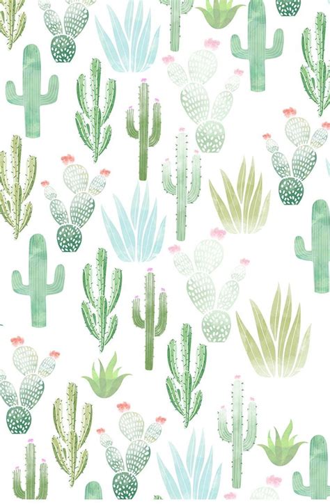 Cactus Pink Aesthetic Wallpapers Wallpaper Cave