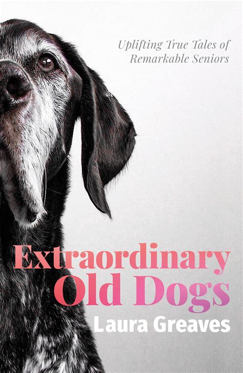Extraordinary Old Dogs By Laura Greaves Penguin Books Australia