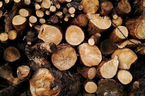 Hd Wallpaper Chopped Wood Tree Logs From Forest Nature Natural Wood