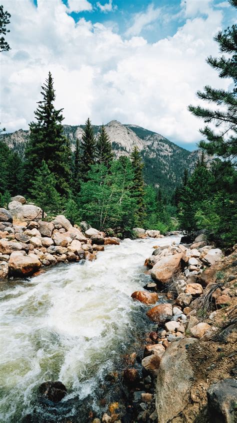 Photography Of River And Pine Trees Photo Free Tree Image On Unsplash