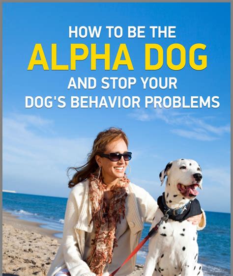 Pin By Betty Barry On Dog Training Alpha Dog Dog Behavior Dog Training