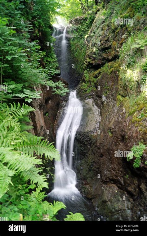 Glenariff Forest Park Waterfall Trail Stock Photo Alamy