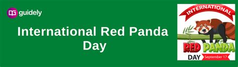 International Red Panda Day 2023 September 16 History Theme