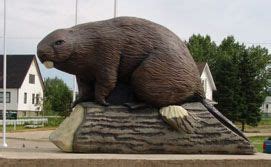 giant beaver statue beaverlodge alberta canada