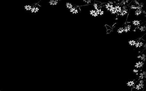 Black And White Flowers Wallpapers Hd Pixelstalknet
