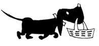 All Categories Daily Dachsie Journal
