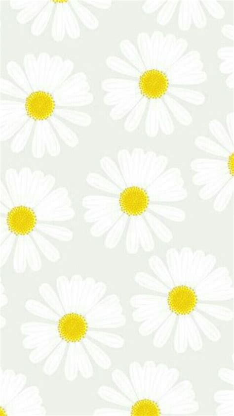 Cute Flower Wallpaper Margaridas Amarelas Papel De