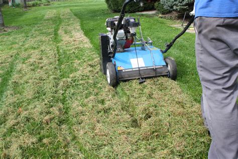 Manual dethatching is the most physically strenuous type of dethatching. Lawn Dethatching - Wichita Lawn Care