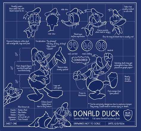 Donald Duck Blueprint For Threadless Contest Side View Rear View