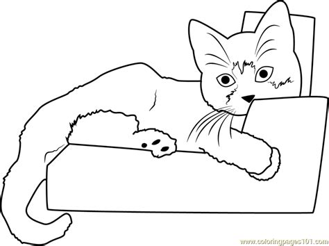 Kitten Sleeping On Sofa Coloring Page For Kids Free Cat Printable