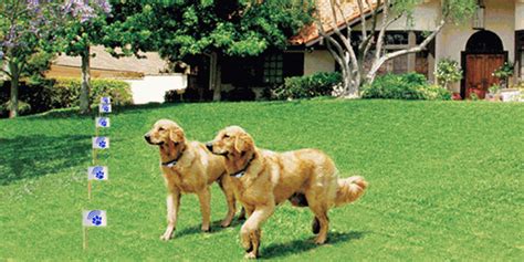 Read general invisible pet fencing installation prices, tips and get free fence estimates. Trade Your Invisible Fence for Superior High Tech Pet Fence