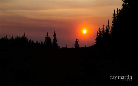 Ray Martin Images Forest Fire Sunrise
