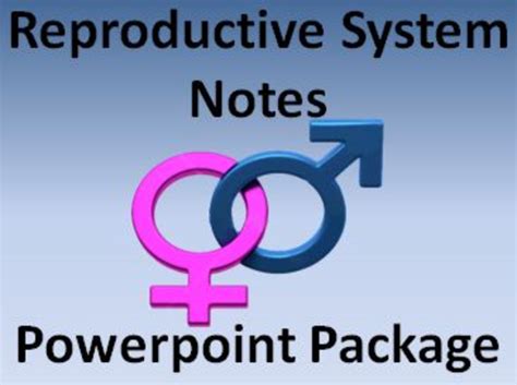 Reproductive System Notes Package Powerpoint Presentations Teaching