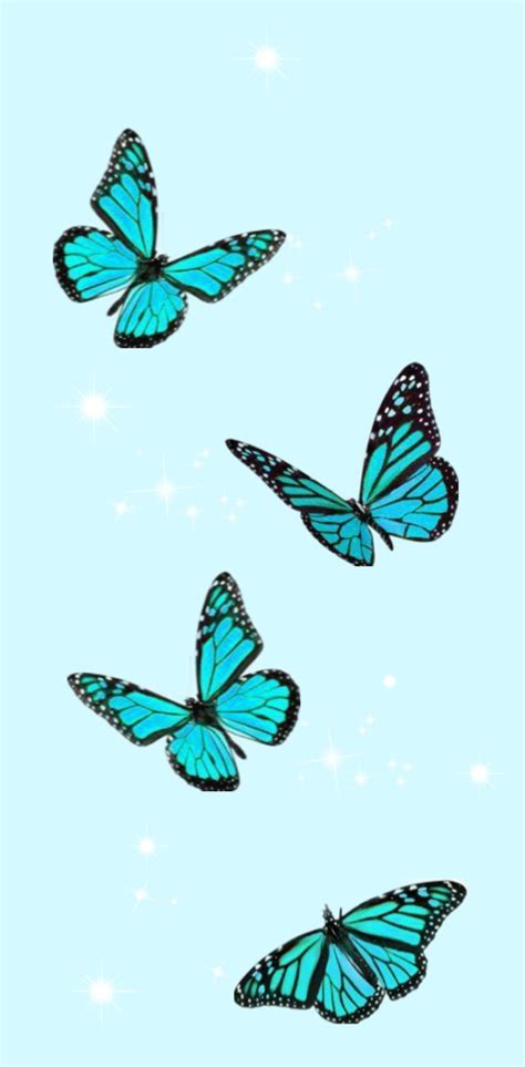 Pretty Butterflies Wallpapers Wallpaper Cave