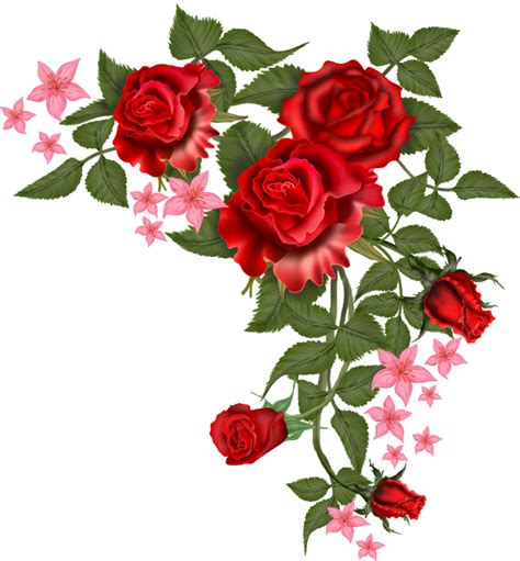 Rosas Rojas Png Free Logo Image
