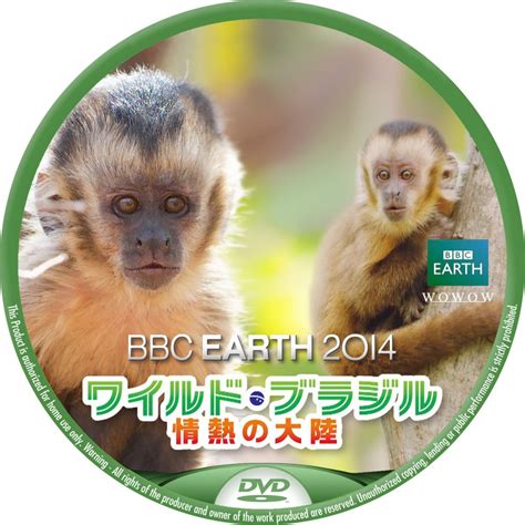 Bbc Earth 2014 ワイルド・ブラジル ～情熱の大陸～ レーベル92