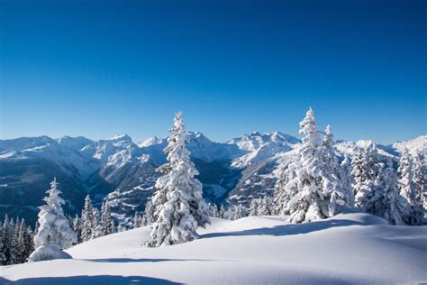 Fonds Decran Hiver Montagnes Photographie De Paysage Neige Arbres Picea Nature Télécharger Photo