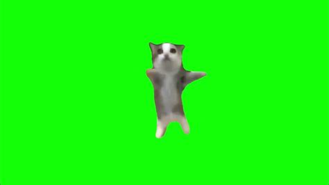 Happy Happy Happy Cat Meme Green Screen Funny Meme Cat Youtube